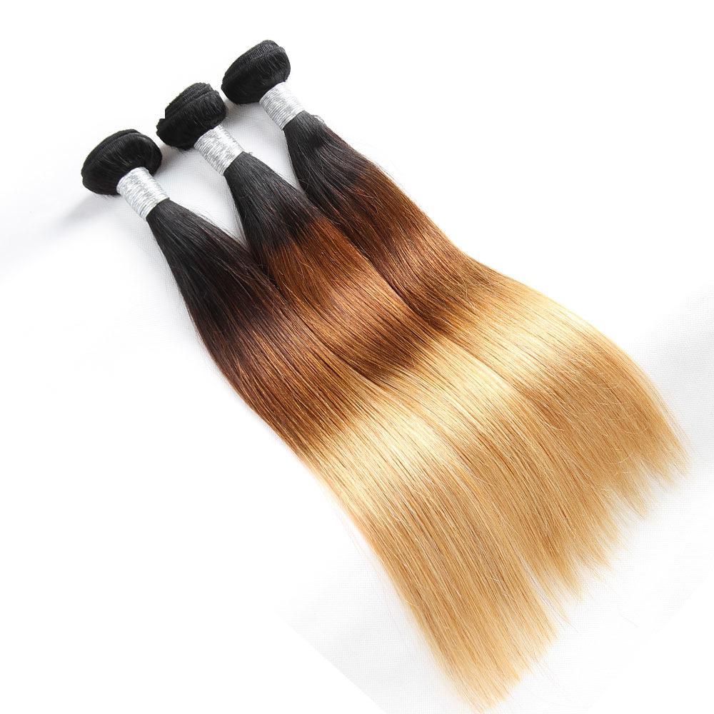 Sulmy 1 Bundle 1b #4 #27 Three Tone Colored straight Ombre Brazilian Human Hair Weave | SULMY.