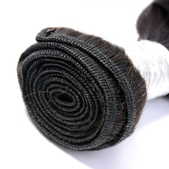 1 Bundle Brazilian Virgin Human Hair Weave Bundles Water Wave | SULMY.