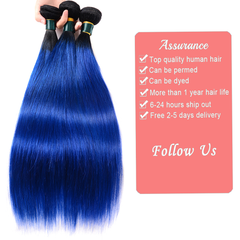 Royal Blue Ombre Weave Bundles With Closure Straight Pre Colored Remy Human Hair | SULMY.