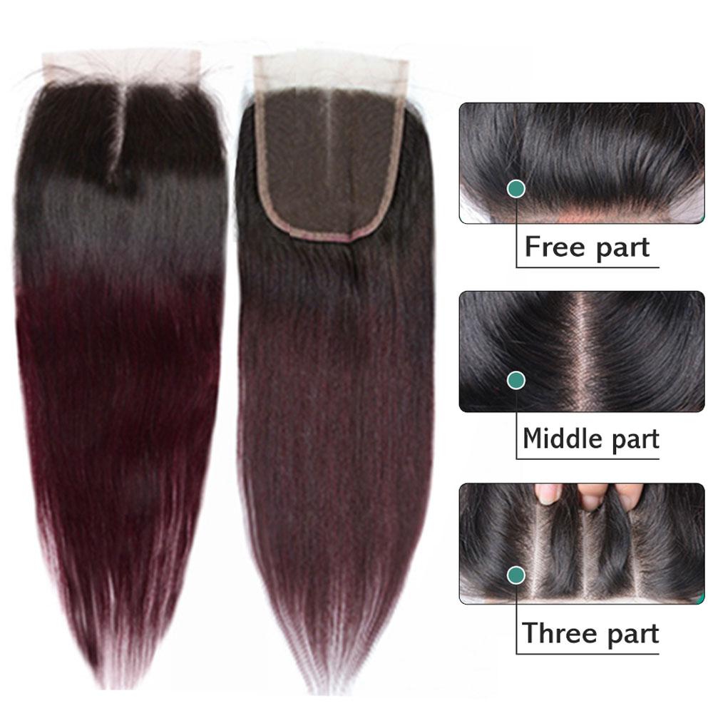 Ombre 99j Hair Bundles With Closure Dark Roots 99j Hair Weave | SULMY.